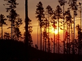Východ slnka zapaľuje les